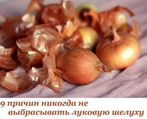 Когда тебе нужно приготовить что-то с луком, что ты делаешь в первую очередь? Когда тебе нужно приготовить что-то с луком, что ты делаешь в первую очередь?