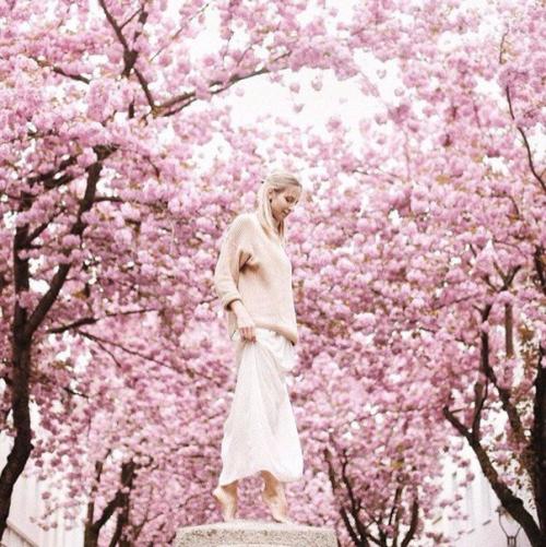 Грация кошки: 5 секретов красивой походки.