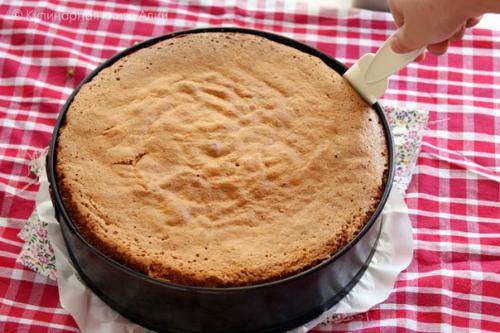 Медовый бисквит. Готовила я так: 04 Медовый бисквит. Готовила я так: 04