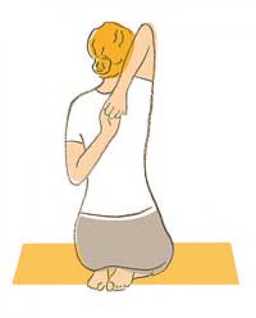 Исправление осанки со знанием дела?