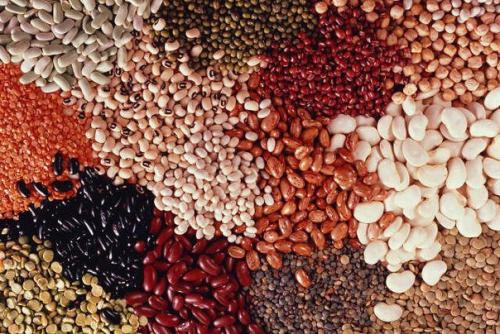 Фасоль - одно из древнейших бобовых растений, история ее возделывания составляет более 7 тысячелетий.