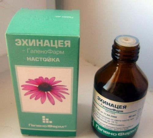 Эхинацею не напрасно называют Чистильщиком Крови. Эхинацею не напрасно называют Чистильщиком Крови.