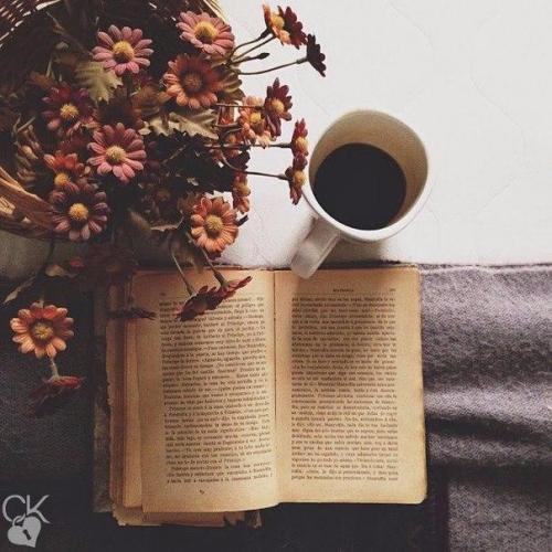 Подборка из 10 книг, прочитав которые, вы навсегда перестанете жить Серой Жизнью? Подборка из 10 книг, прочитав которые, вы навсегда перестанете жить Серой Жизнью?