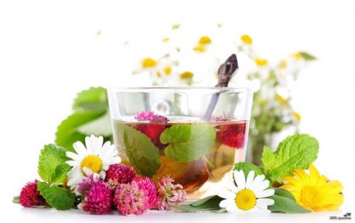 Лучшие травяные настои и чаи от головной боли! Лучшие травяные настои и чаи от головной боли!