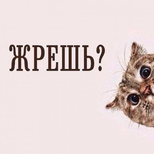 Как я себя вернула. Как я себя вернула.