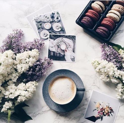 58 книг, которые должна прочесть каждая девушка: 01 58 книг, которые должна прочесть каждая девушка: 01