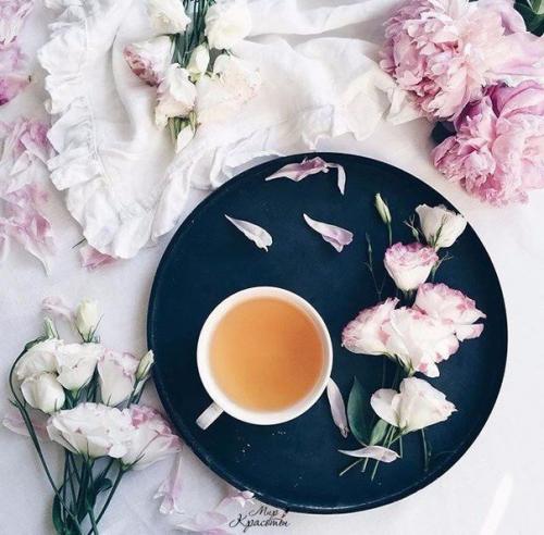 58 книг, которые должна прочесть каждая девушка: 03 58 книг, которые должна прочесть каждая девушка: 03