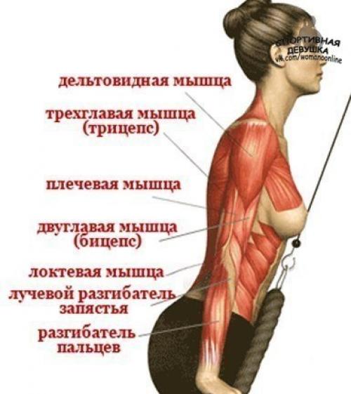Исчерпывающая тренировка для рук. Исчерпывающая тренировка для рук.