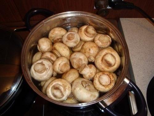 Мясо в сырном соусе. 02 Мясо в сырном соусе. 02