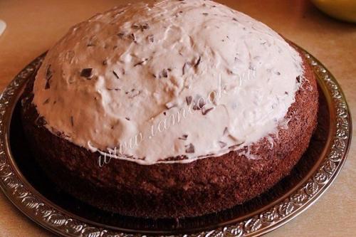 Торт Норка Крота. 08