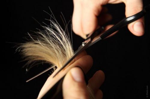 В какой день стричься нужно.

