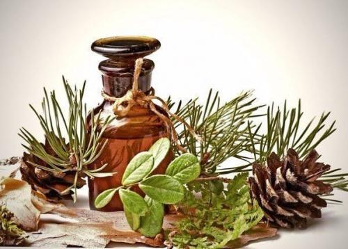 Лечимся хвоей. На протяжении многих столетий люди в лечении заболеваний хвою используют. Лечимся хвоей. На протяжении многих столетий люди в лечении заболеваний хвою используют.