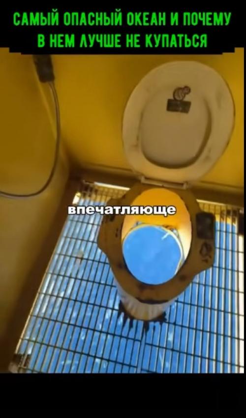 Купание в тихом океане может быть опасным по нескольким причинам: 

