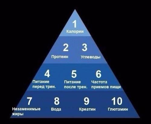Пирамида мышечного роста.