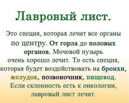 Полезно знать каждой хозяйке, лавровый лист не просто приправа.