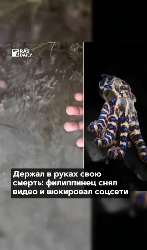 Видео британского туриста пользователей шокировало. 01 Видео британского туриста пользователей шокировало. 01