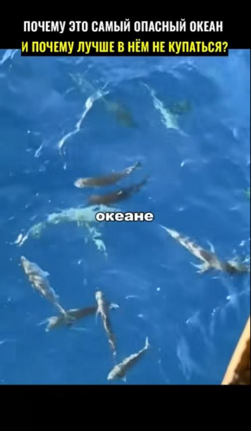 Купание в тихом океане может быть опасным по нескольким причинам: 01