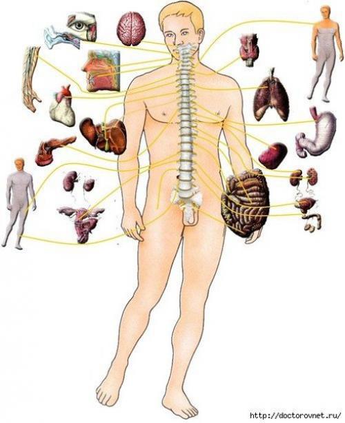 Причины возникновения боли в ГРУДИ.

