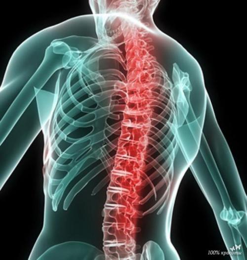 Упражнения для укрепления позвоночника.