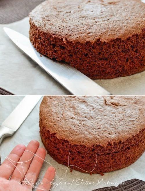 Заварной бисквит - базовые рецепт! 07