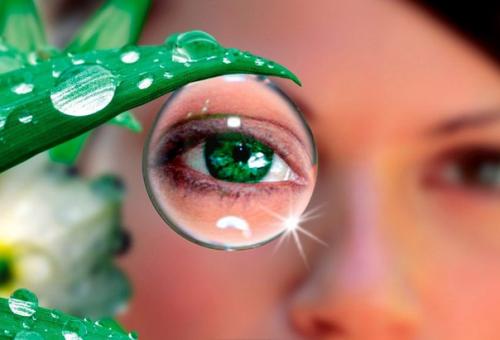 Уникальные составы для улучшения зрения: 

