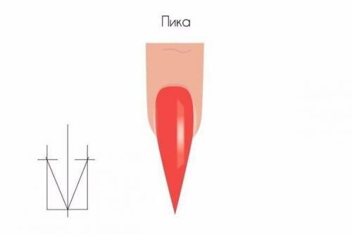 Запил ногтей. Запил формы свободного края ногтя.
