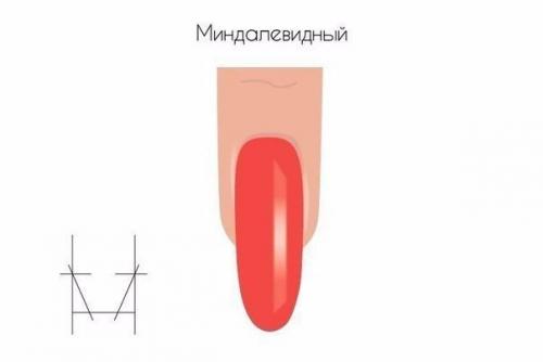 Запил ногтей. Запил формы свободного края ногтя.