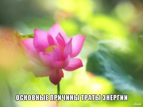 Основные причины траты энергии на уровне физического тела: Основные причины траты энергии на уровне физического тела: