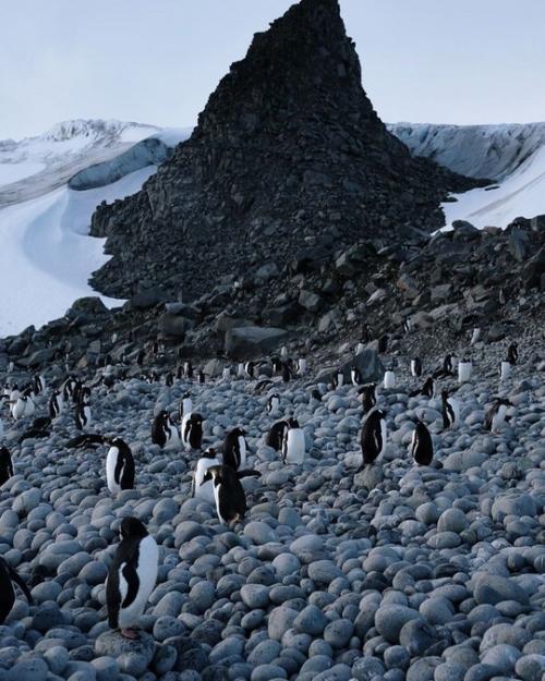 Бaстa с женой Еленой и нaдеждa стрелец отпрaвились в Антaрктиду. 03