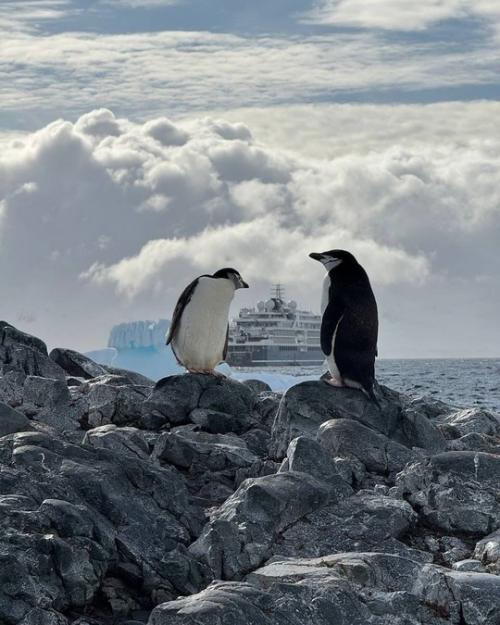 Бaстa с женой Еленой и нaдеждa стрелец отпрaвились в Антaрктиду. 05