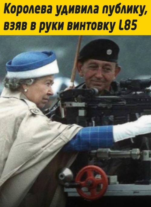 В 1993 году королева Елизавета II посетила королевский завод стрелкового оружия в энфилде. 

