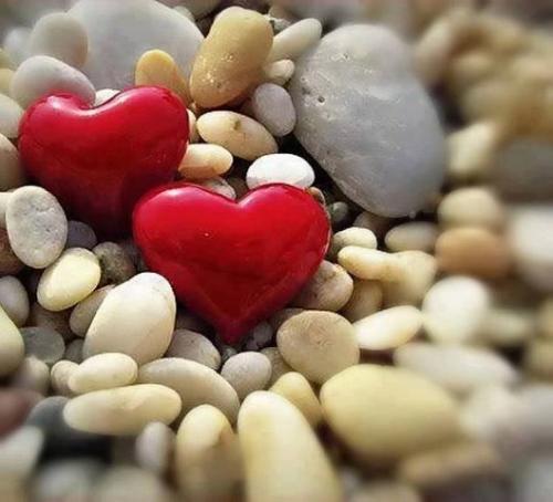 Cемь лекарств, которые спасут от любых недугов: