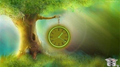 Волшебная минута.  Проверьте - и поверите? 

