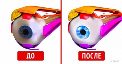 Комплекс упражнений для глаз. 10 быстрых упражнений для улучшения зрения.