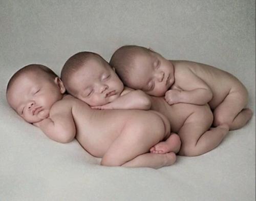 Эти братья абсолютно одинаковыми с точки зрения генетики получились. 01