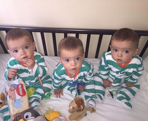 Эти братья абсолютно одинаковыми с точки зрения генетики получились. 03