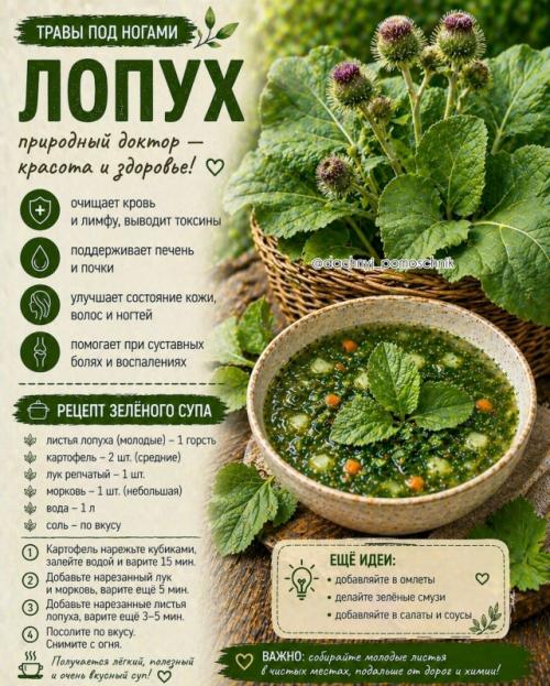 Ты реально ходишь по этому каждый день …. 06