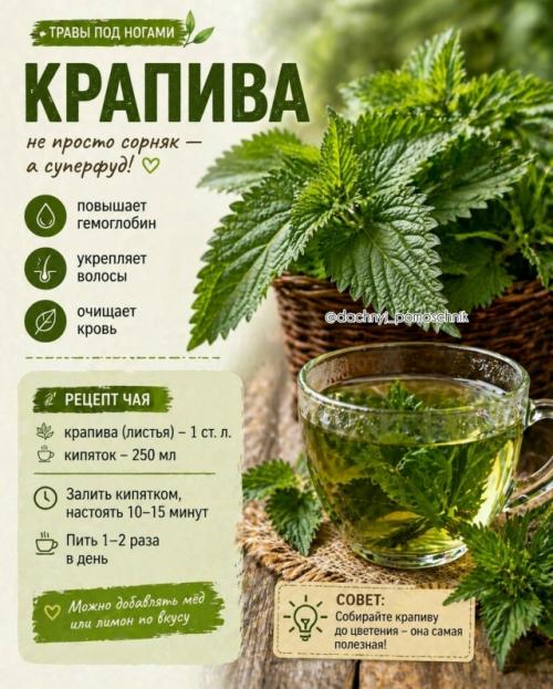 Ты реально ходишь по этому каждый день …. 03