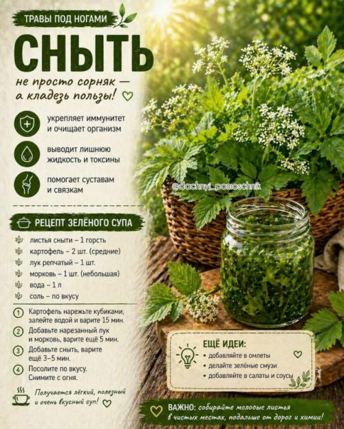 Ты реально ходишь по этому каждый день …. 04