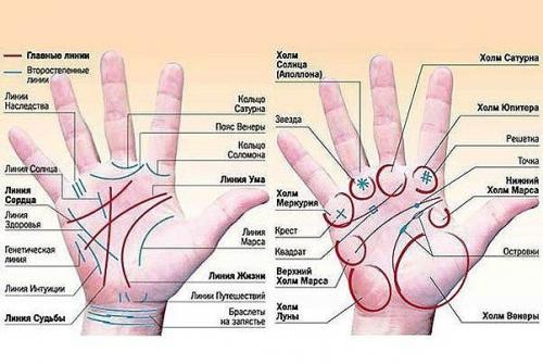 Людей всегда прельщали тайны, загадки, чужие секреты и предсказания. Людей всегда прельщали тайны, загадки, чужие секреты и предсказания.