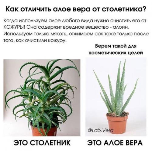 Как использовать гель - алоэ на заметочку всем девочкам. 06