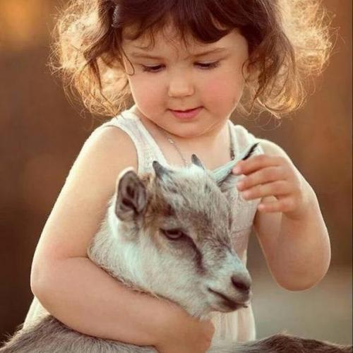 Умение любить - талант от бога, умение жалеть - от доброты, умение прощать не зная срока, от мудрости и нежности души. 01