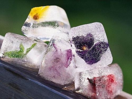 В том случае, если выехать за город нет возможности, то можно в домашних условиях приготовить для себя волшебный лёд.