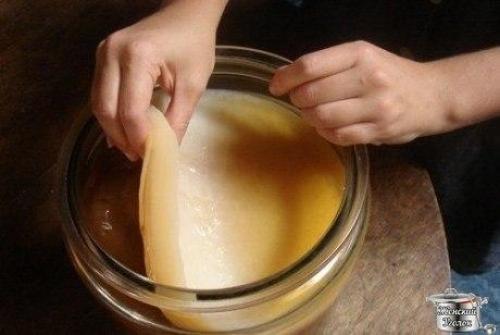 Как вырастить чайный гриб самостоятельно? Как вырастить чайный гриб самостоятельно?