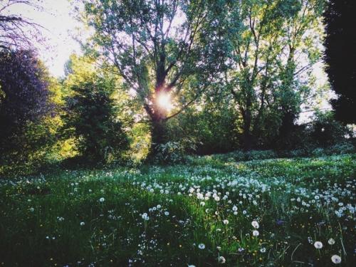 Чуешь, какой воздух? 02