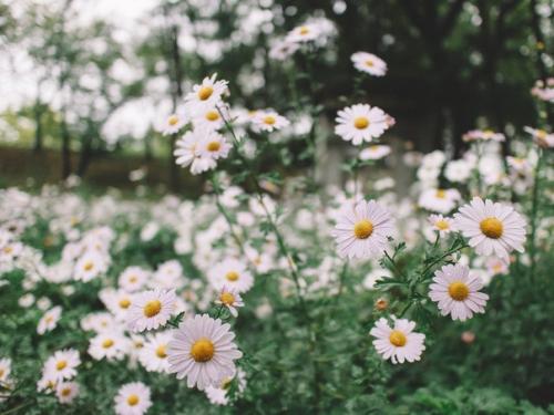 Чуешь, какой воздух? 08