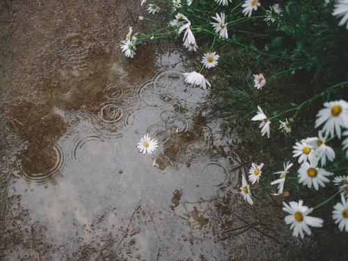 Чуешь, какой воздух? 05