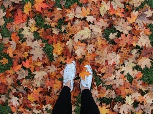 Август - прелюдия к осени, уже начинаешь понемногу чувствовать дуновение осенней меланхолии. 08