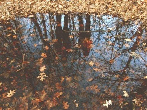 Август - прелюдия к осени, уже начинаешь понемногу чувствовать дуновение осенней меланхолии. 06