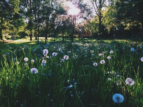 Чуешь, какой воздух? 01